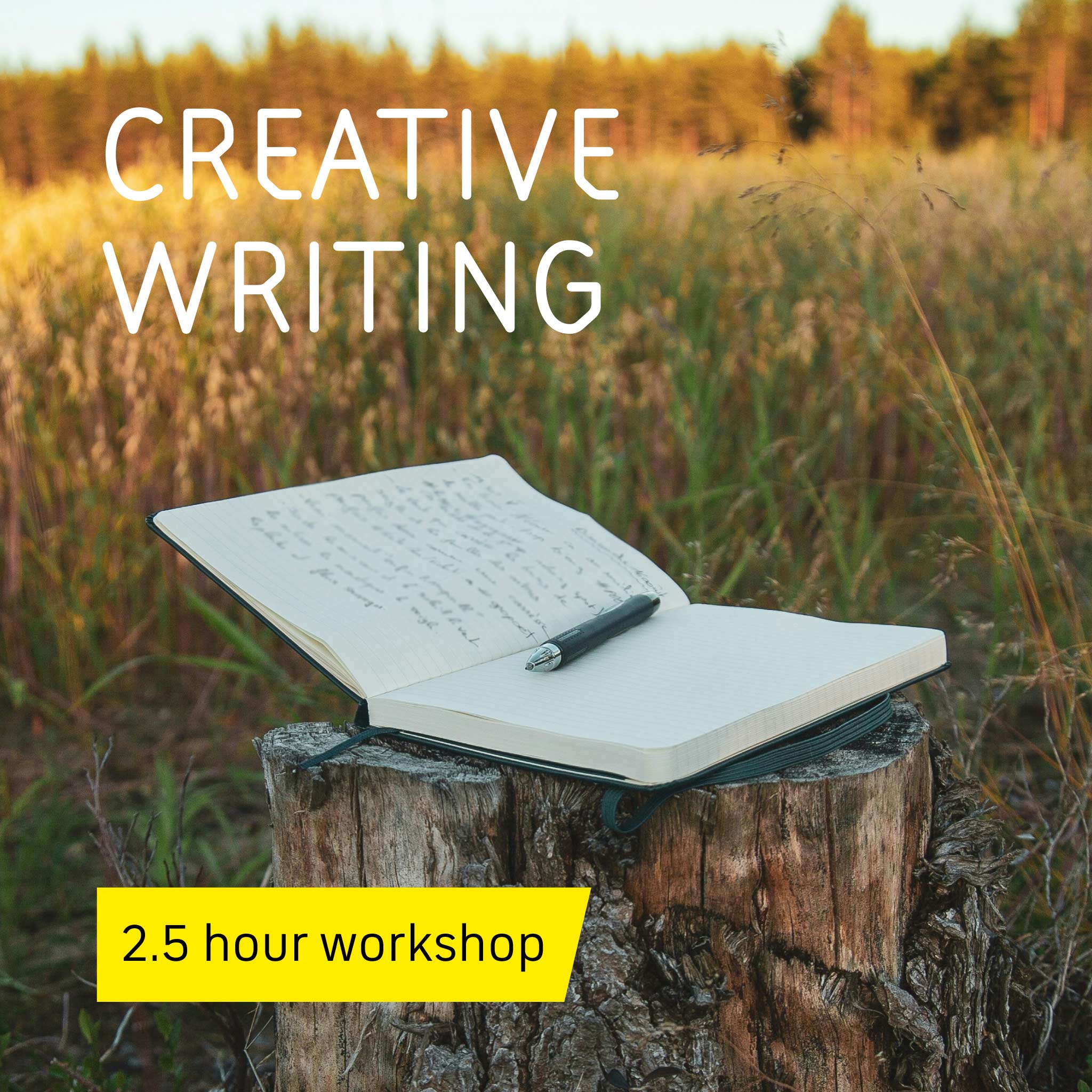 Creative Writing for Grown-ups, Workshop