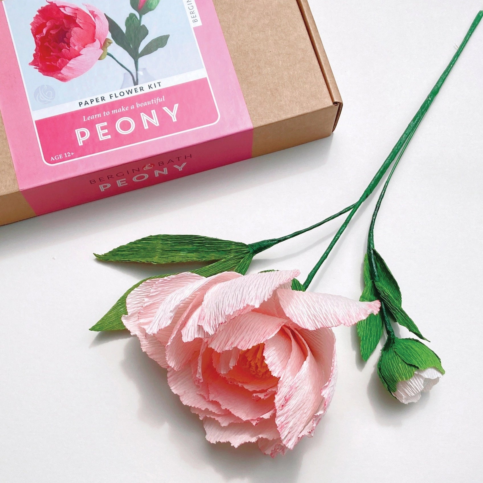 Paper Flower Kit - Peony. Papercraft kit for women.