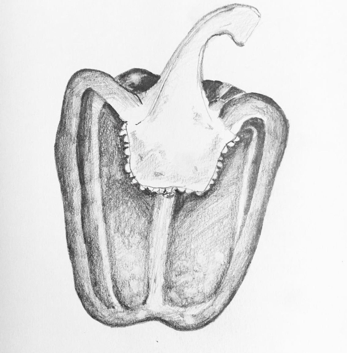 Charcoal Drawing Still Life Class