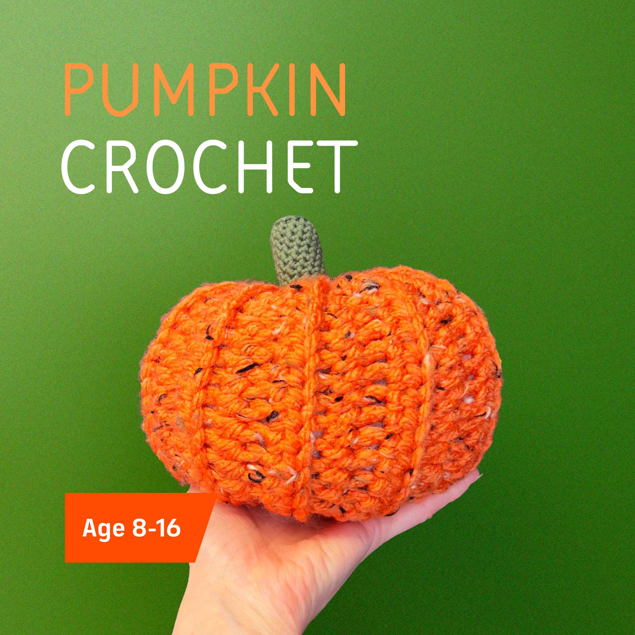 Crochet Pumpkin Workshop Kids