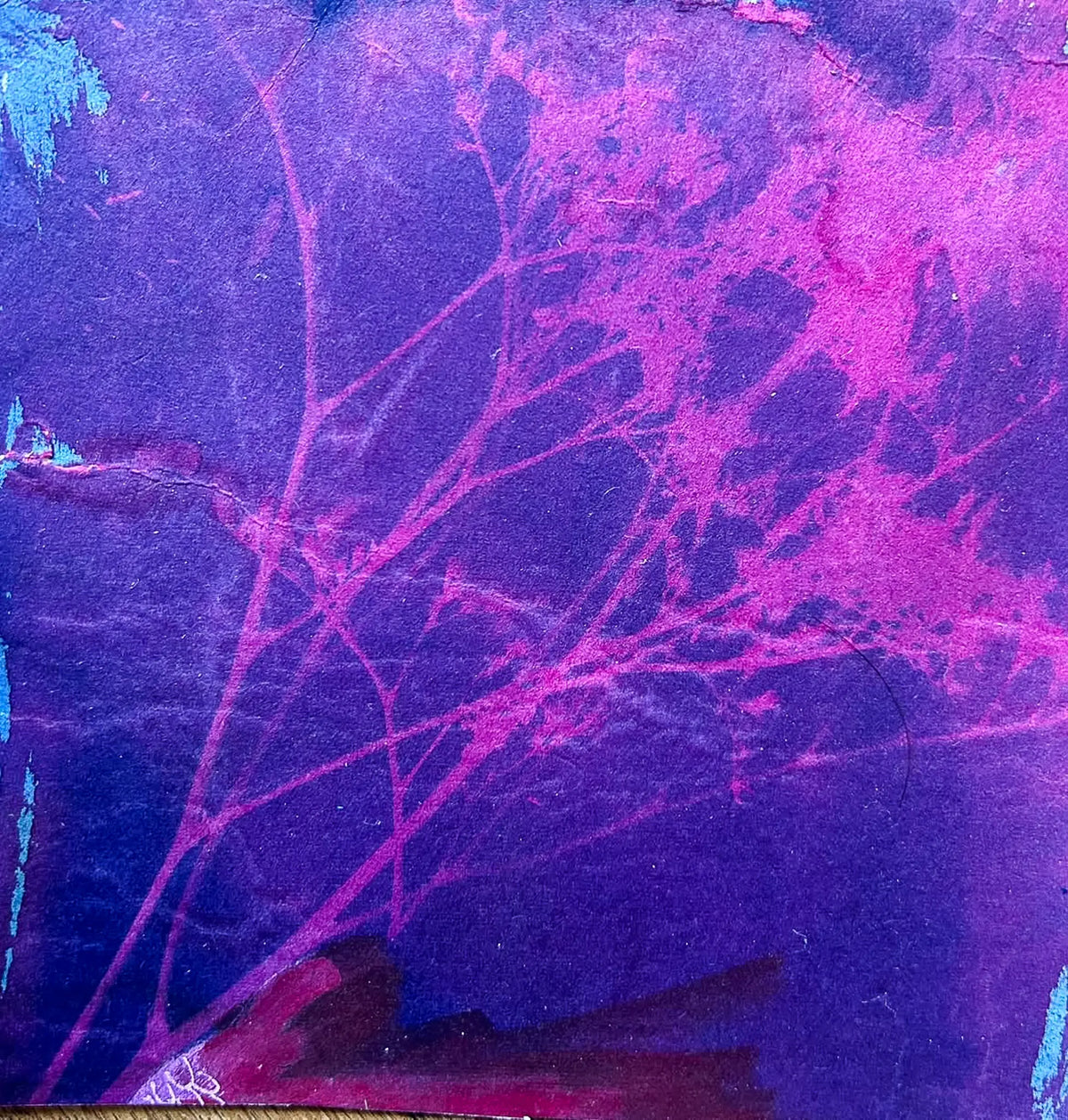 A Beginner’s Guide to Cyanotype Printing