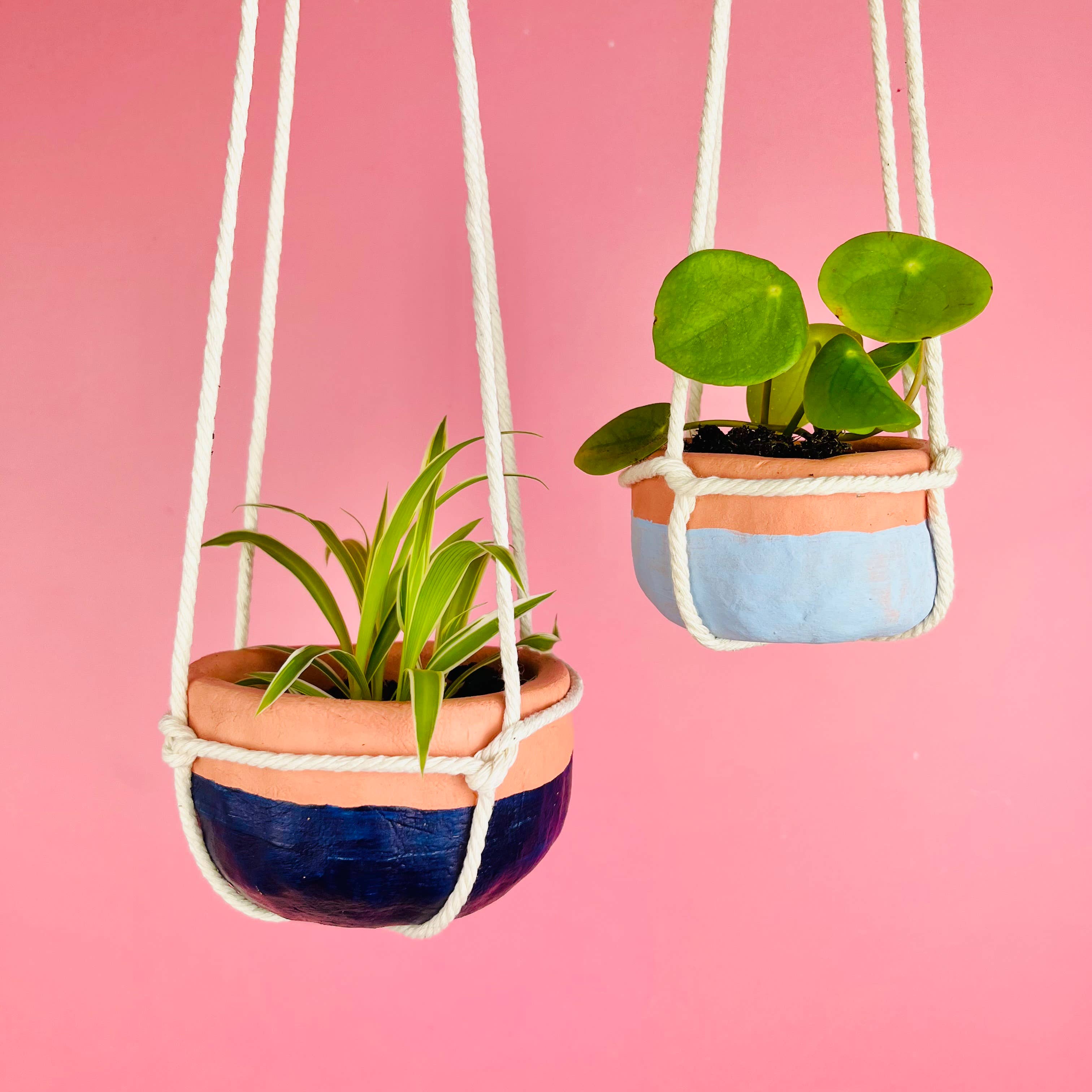 The Edinburgh Craft Club - Terracotta Pinch Pot Kit