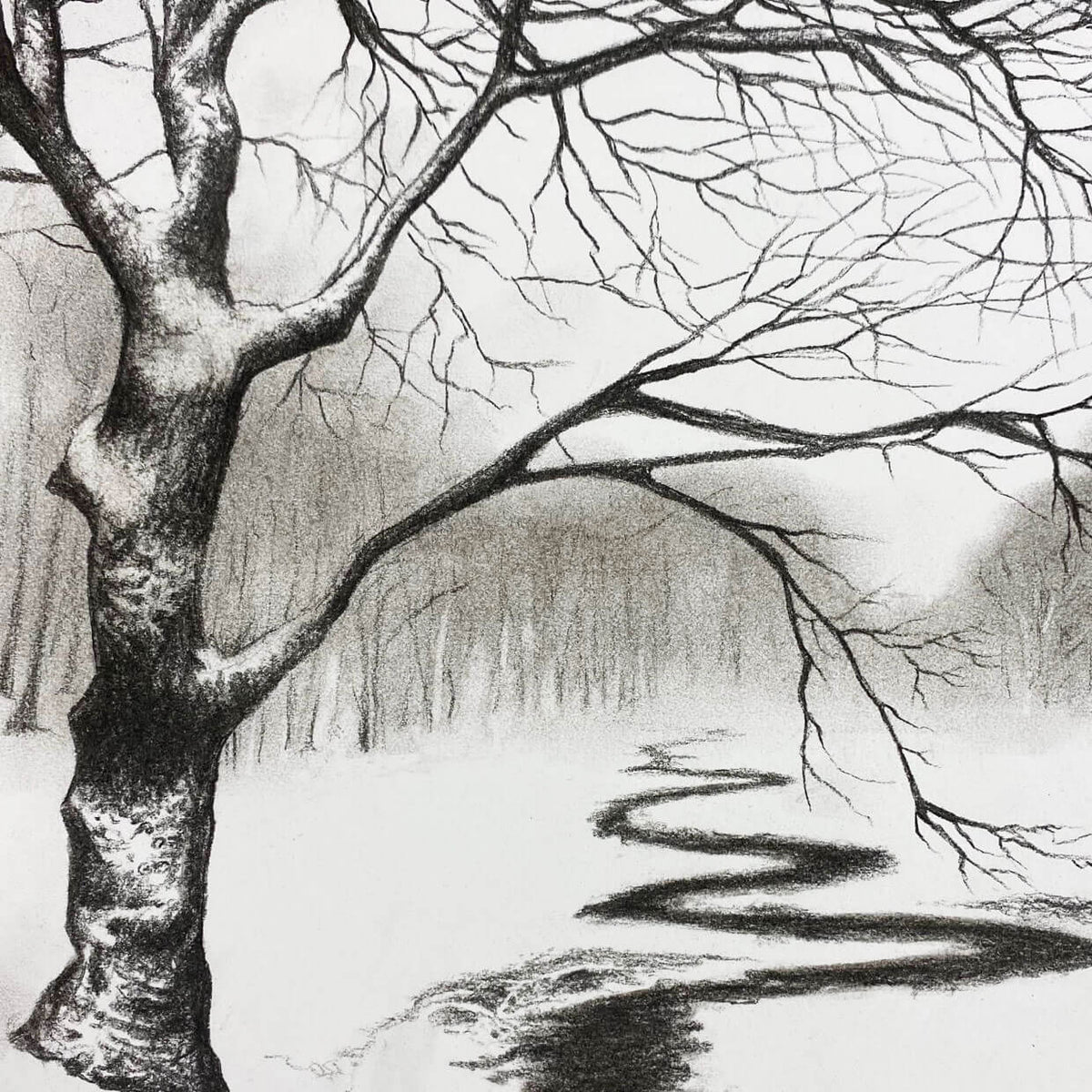 Charcoal and Acrylic Workshop