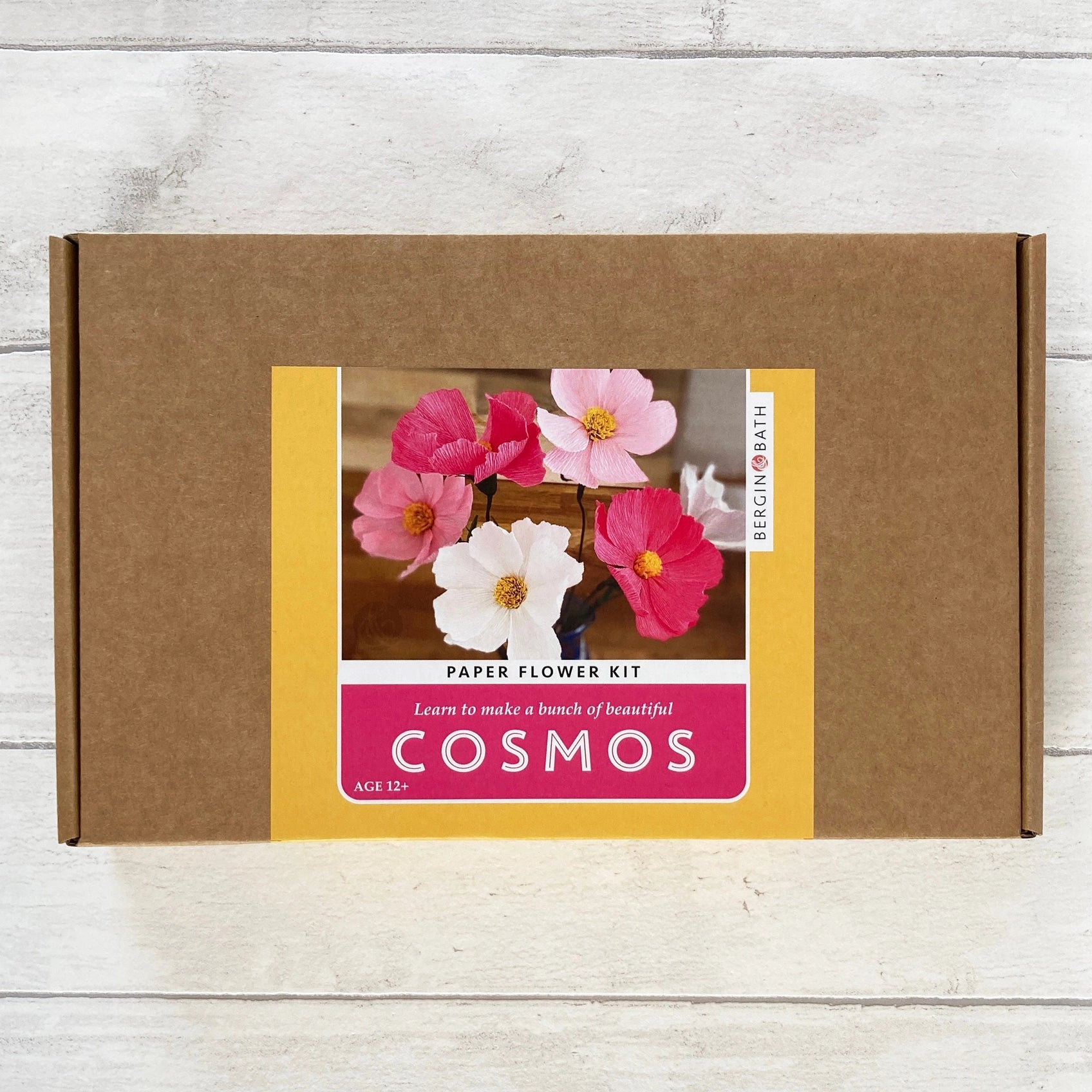 Paper Flower Making Kit Cosmos, craft kit for women
