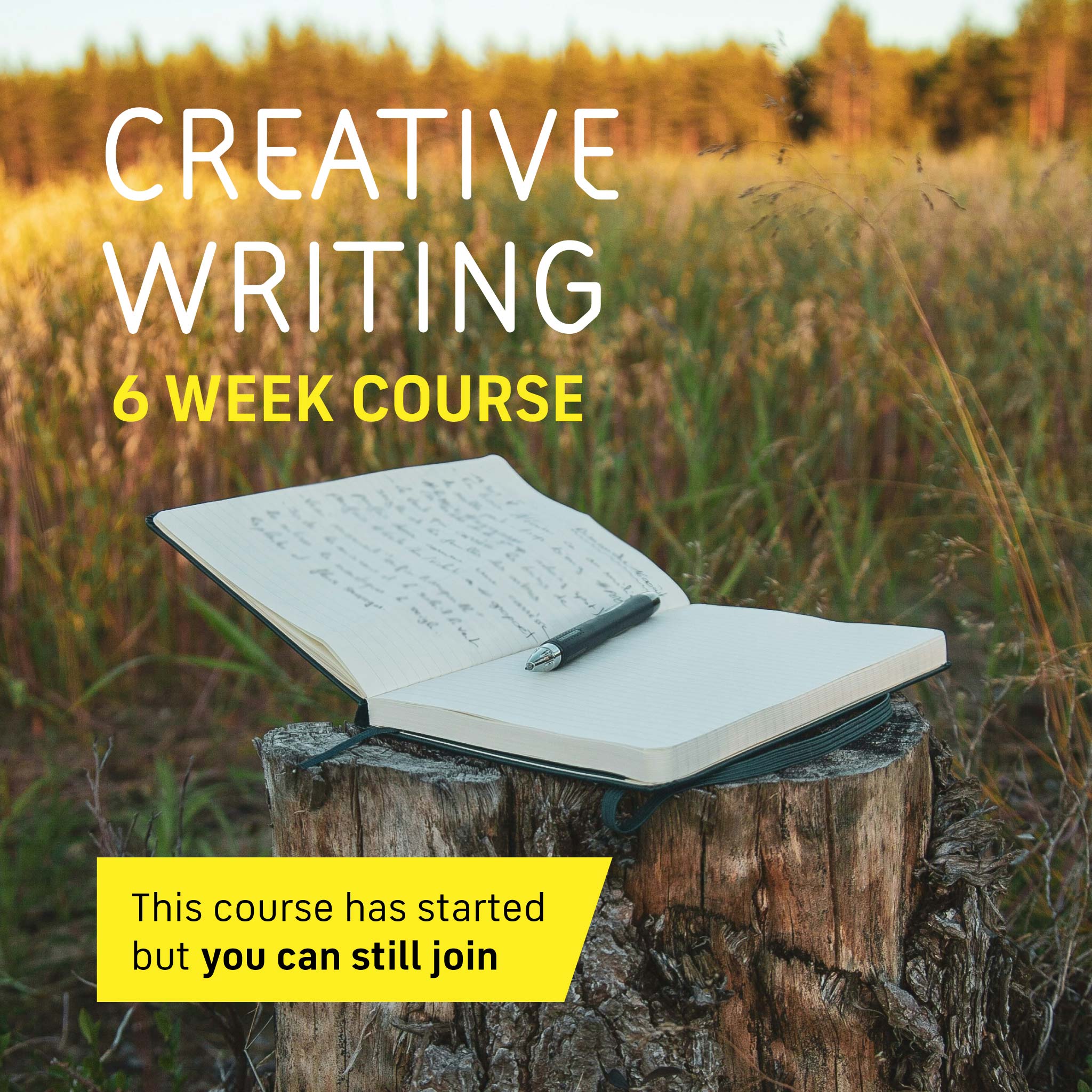 Six week creative writing course