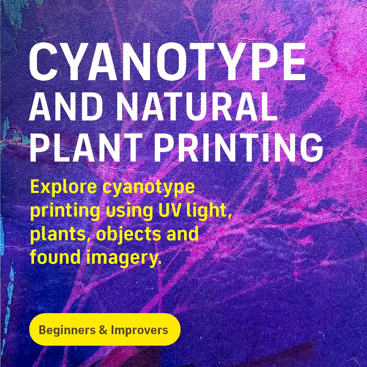Cyanotype for beginners