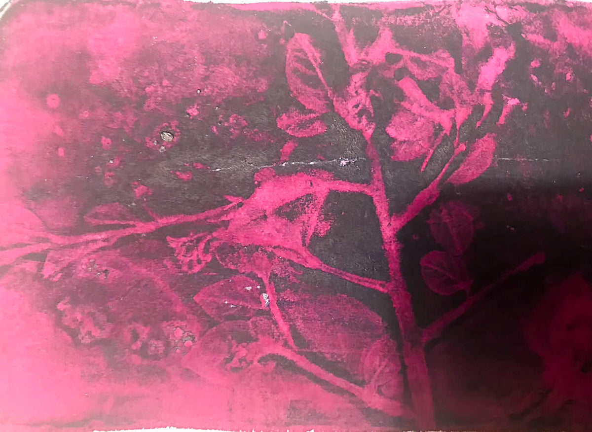 Explore cyanotype printing using UV light, plants, objects and found imagery in this beginners workshop in Eastbourne.