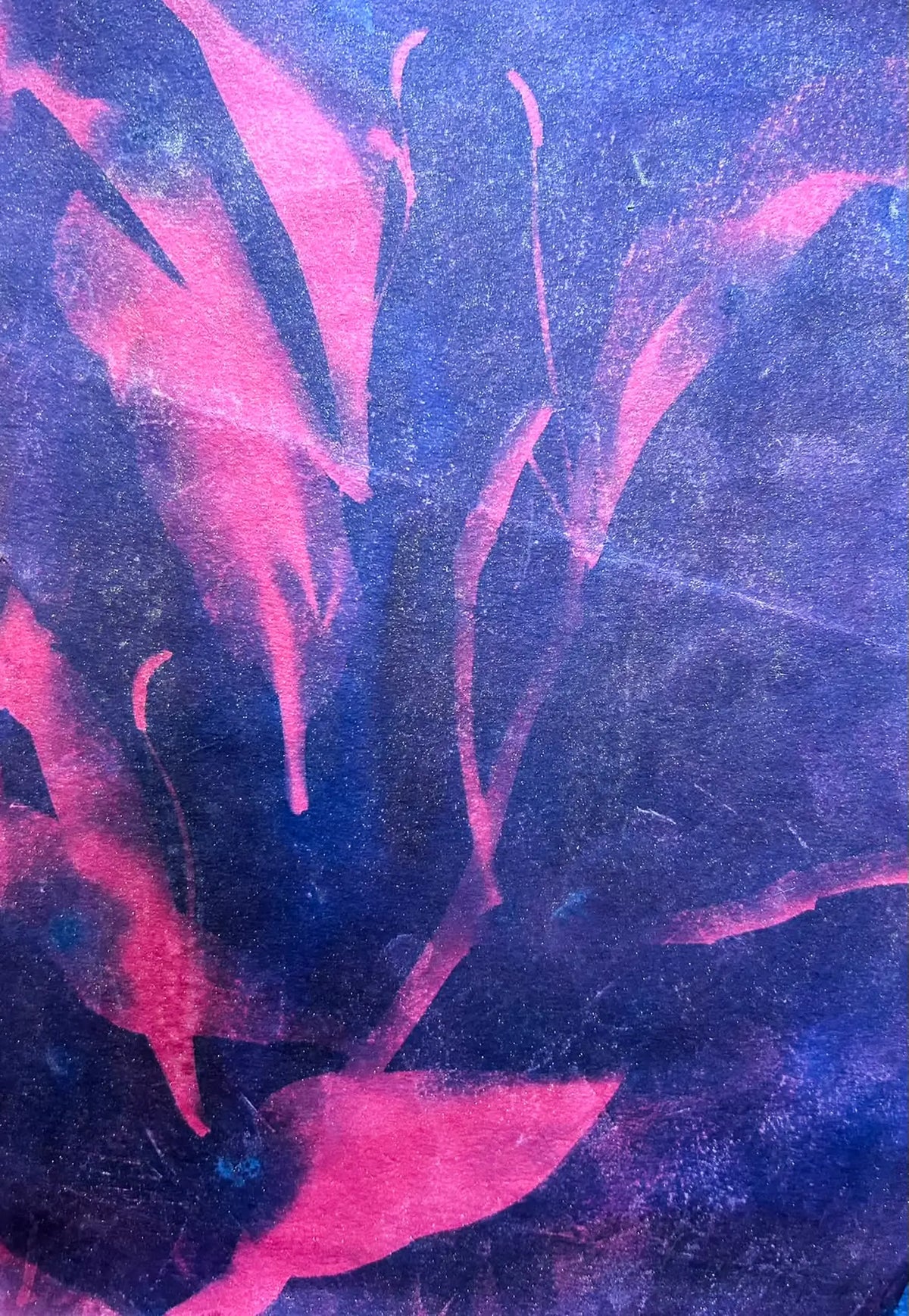 Explore cyanotype printing using UV light, plants, objects and found imagery in this beginners workshop in Eastbourne.