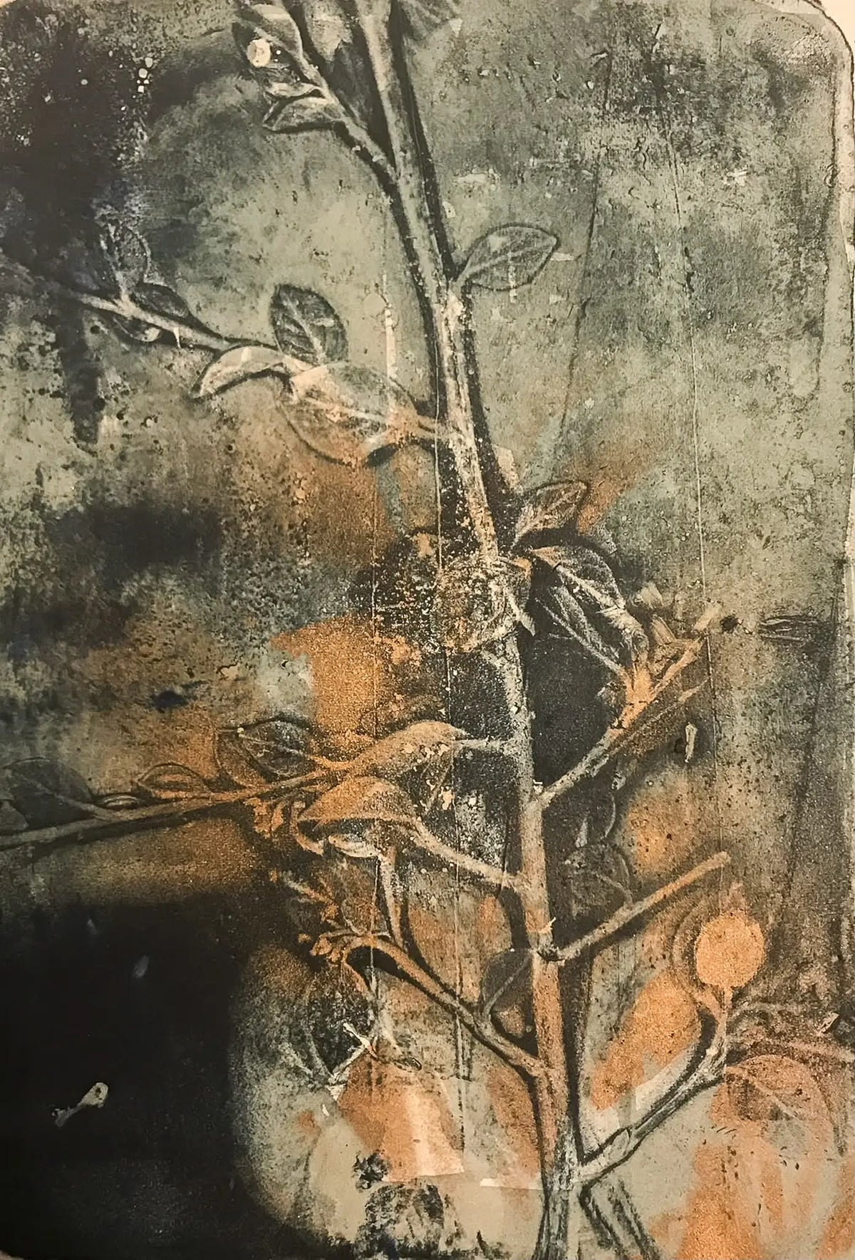 Explore cyanotype printing using UV light, plants, objects and found imagery in this beginners workshop in Eastbourne.