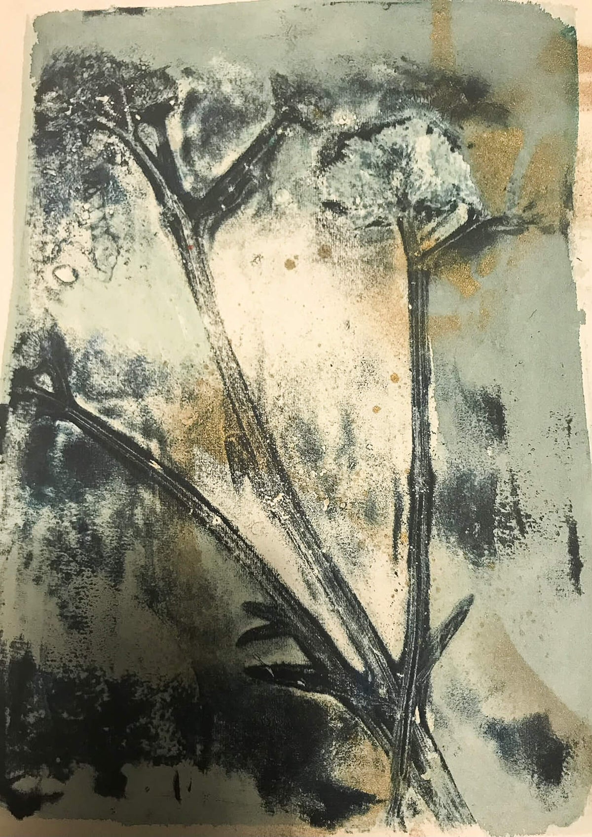 Explore cyanotype printing using UV light, plants, objects and found imagery in this beginners workshop in Eastbourne.