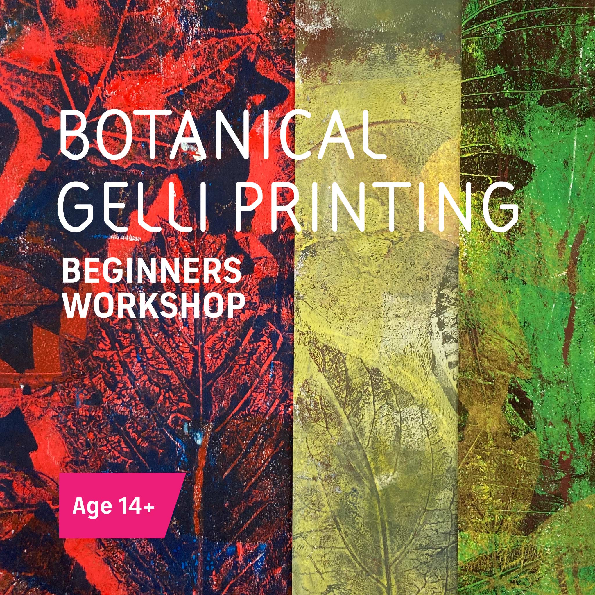 Botanical Gelli Printing Workshop, Thurs 7th August, 10am-12.30pm