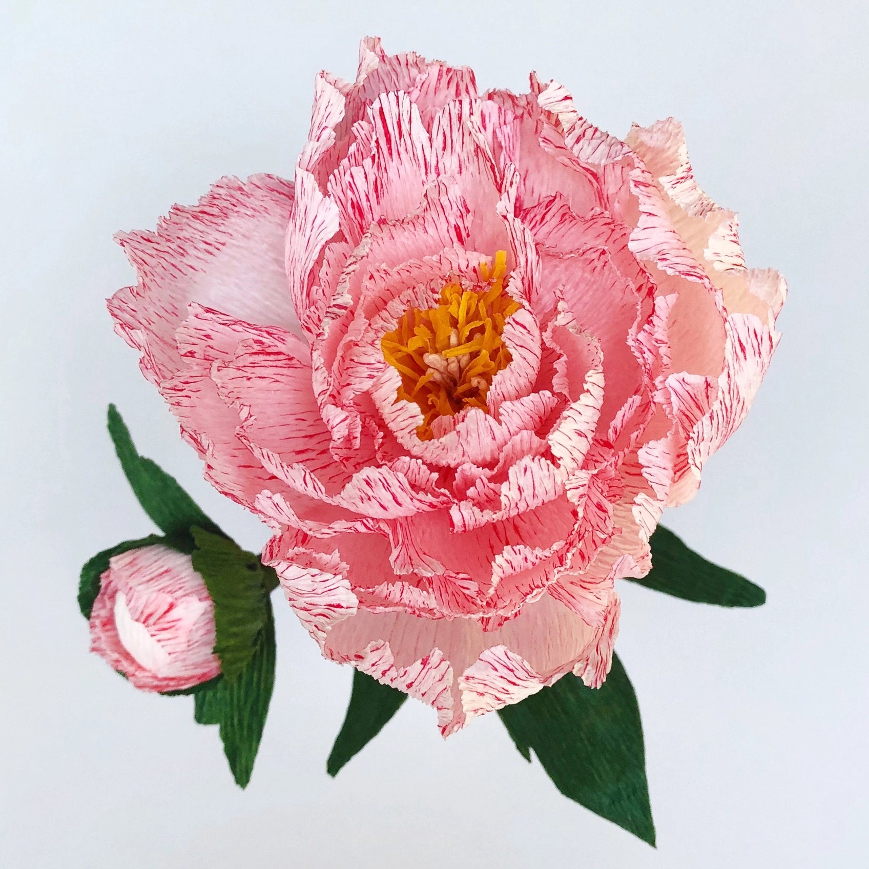 Paper Flower Kit - Peony. Papercraft kit for women.