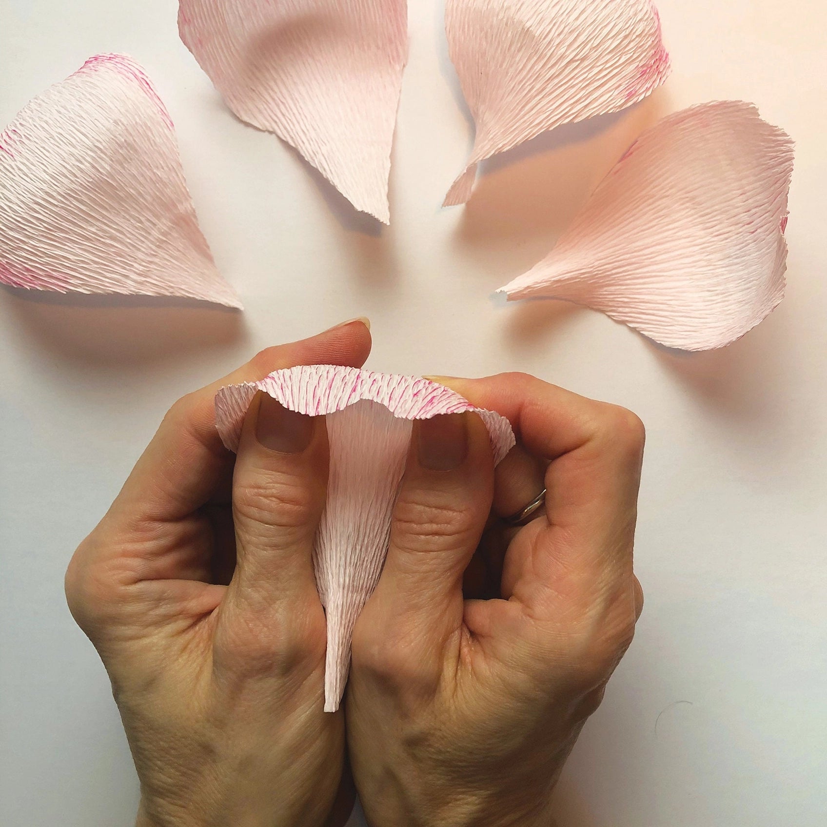 Paper Flower Kit - Peony. Papercraft kit for women.